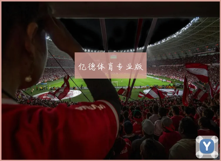 亿德体育专业版