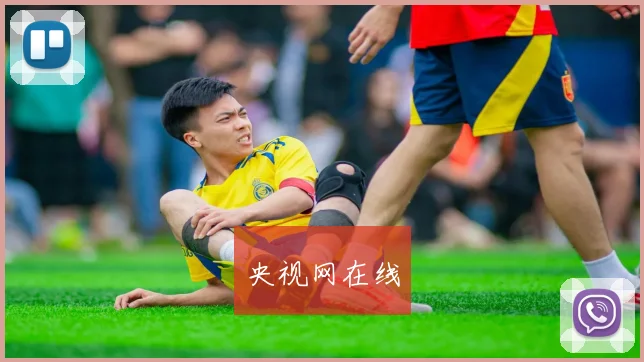 央视网在线
