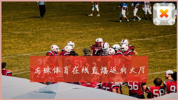 龙珠体育在线直播返利大厅
