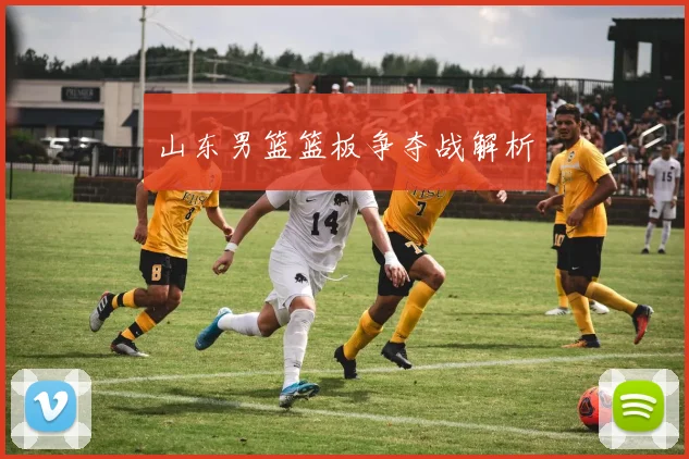 山东男篮篮板争夺战解析