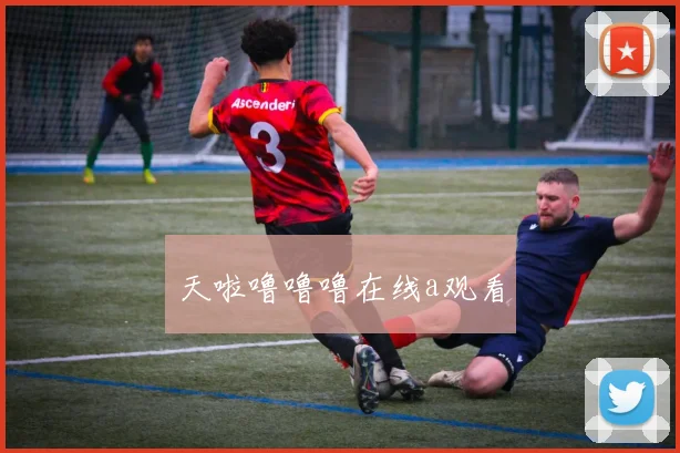 天啦噜噜噜在线a观看