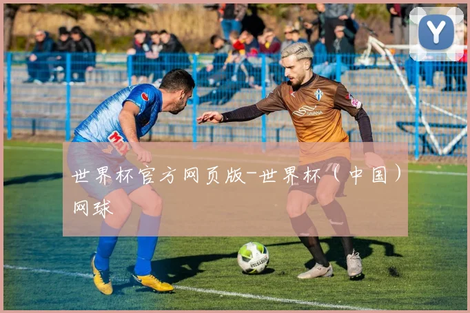 世界杯官方网页版-世界杯（中国）网球