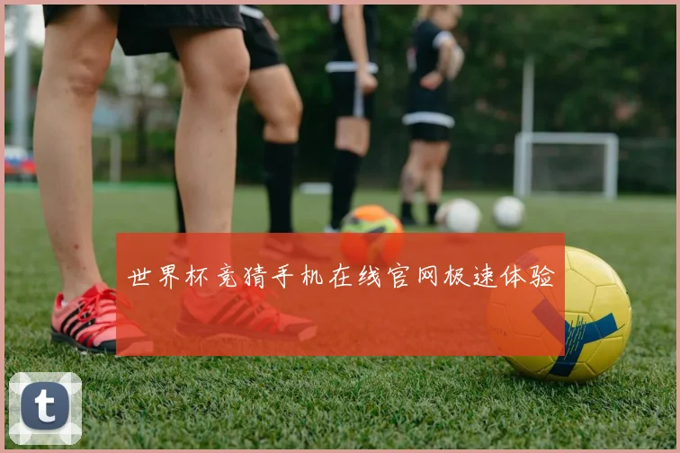 世界杯竞猜手机在线官网极速体验