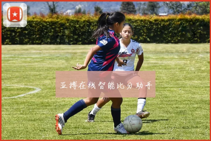 亚搏在线智能比分助手