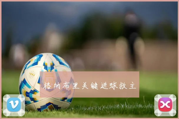 格纳布里关键进球救主