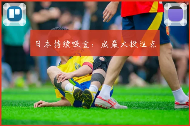 日本持续吸金，成最大投注点