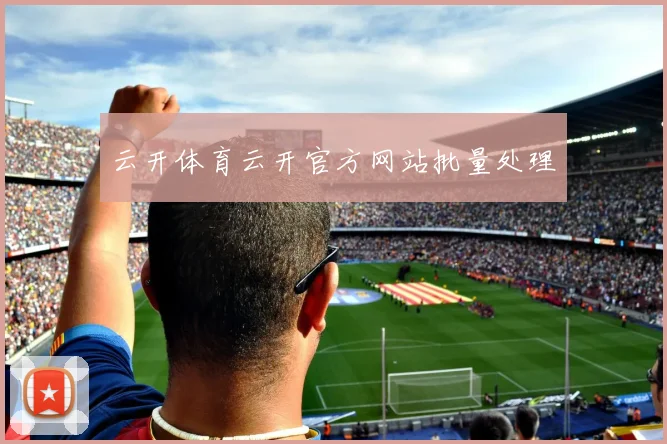 云开体育云开官方网站批量处理