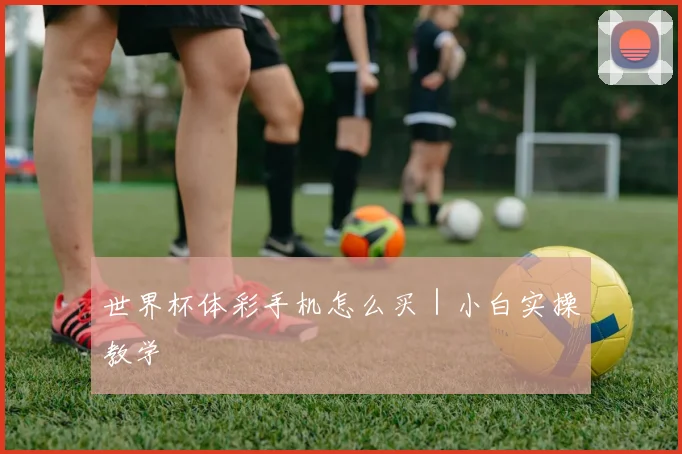 世界杯体彩手机怎么买｜小白实操教学