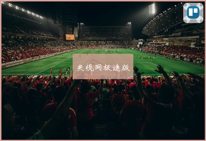 央视网极速版