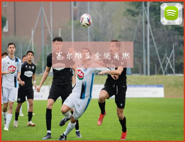 塞尔维亚全场高燃