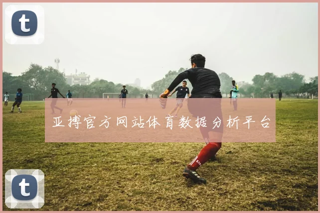 亚搏官方网站体育数据分析平台