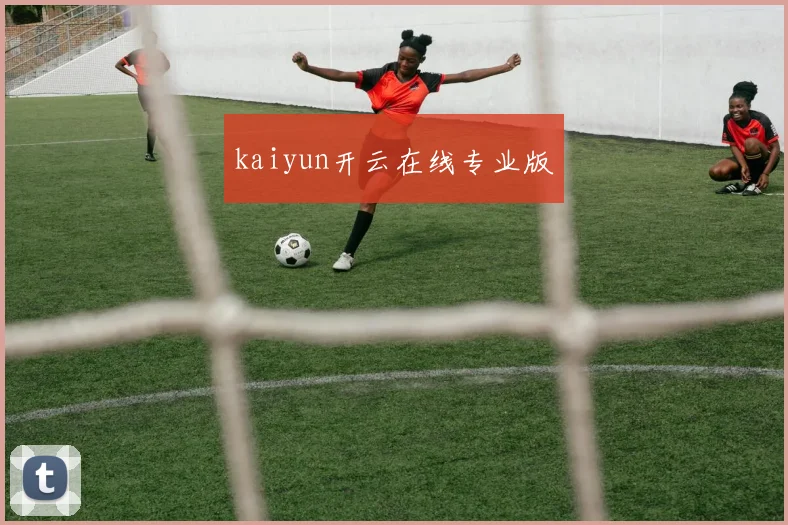 kaiyun开云在线专业版