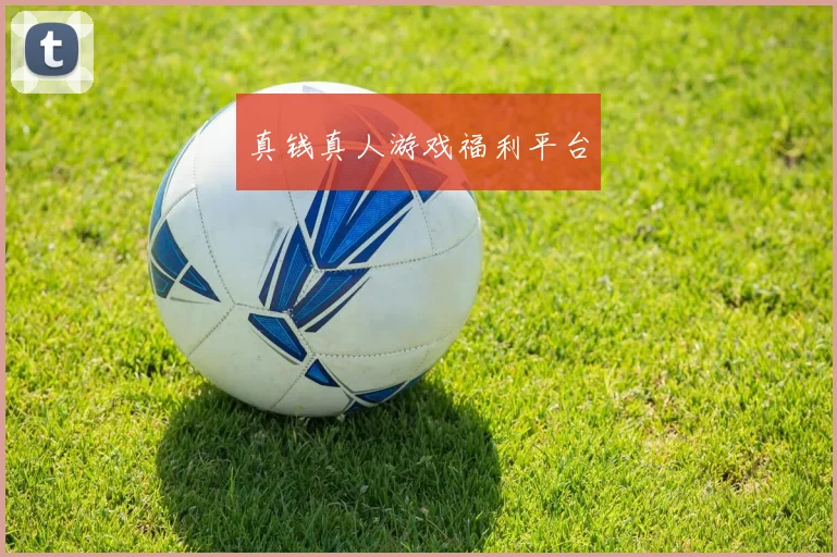 真钱真人游戏福利平台