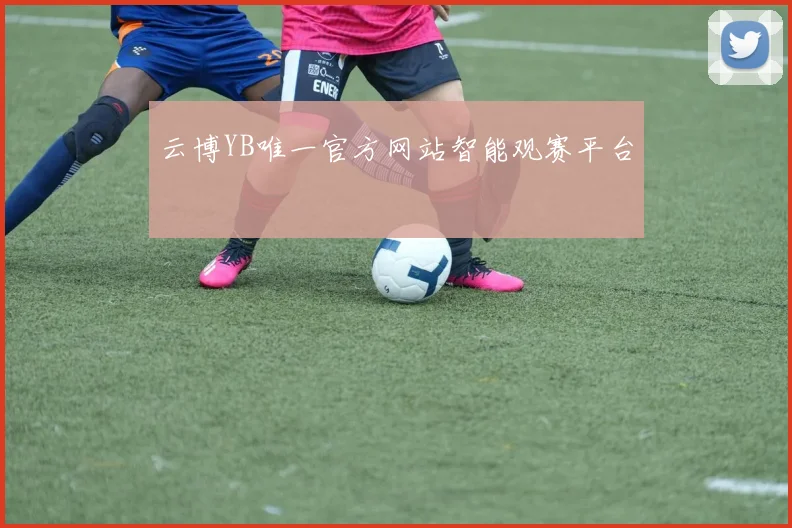 云博YB唯一官方网站智能观赛平台