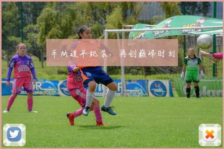 辛纳追平纪录,再创巅峰时刻