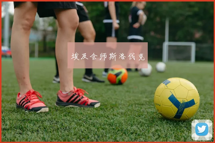埃及会师斯洛伐克