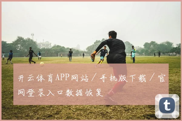 开云体育APP网站／手机版下载／官网登录入口数据恢复