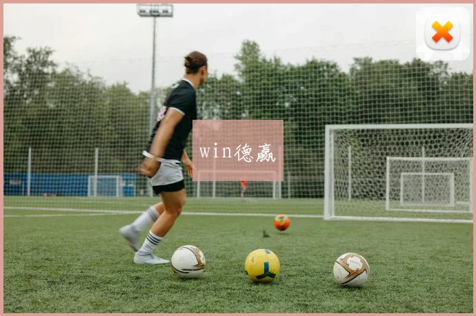 win德赢