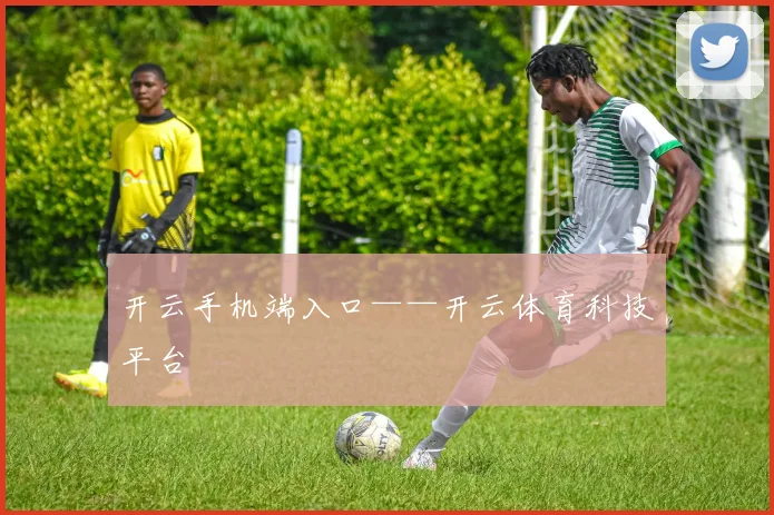 开云手机端入口——开云体育科技平台