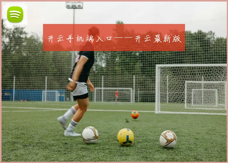 开云手机端入口——开云最新版