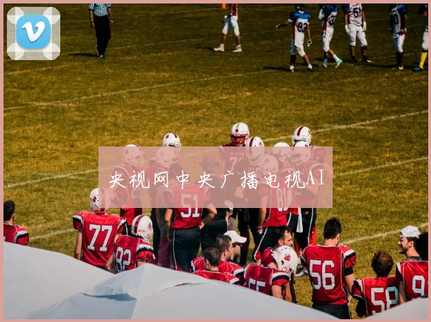 央视网中央广播电视AI
