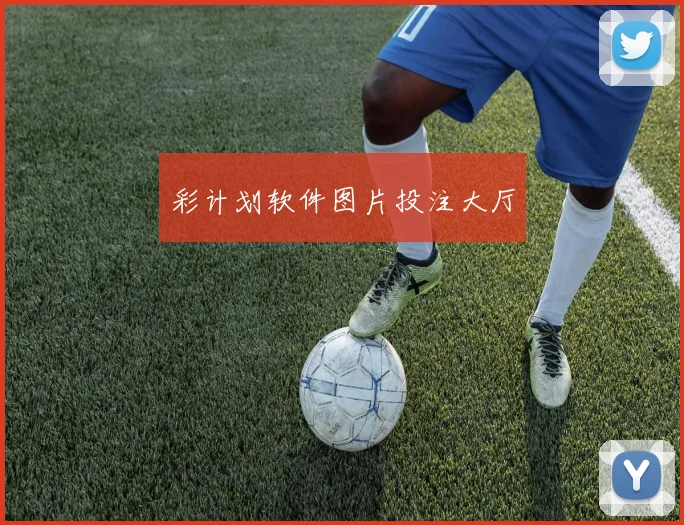 彩计划软件图片投注大厅