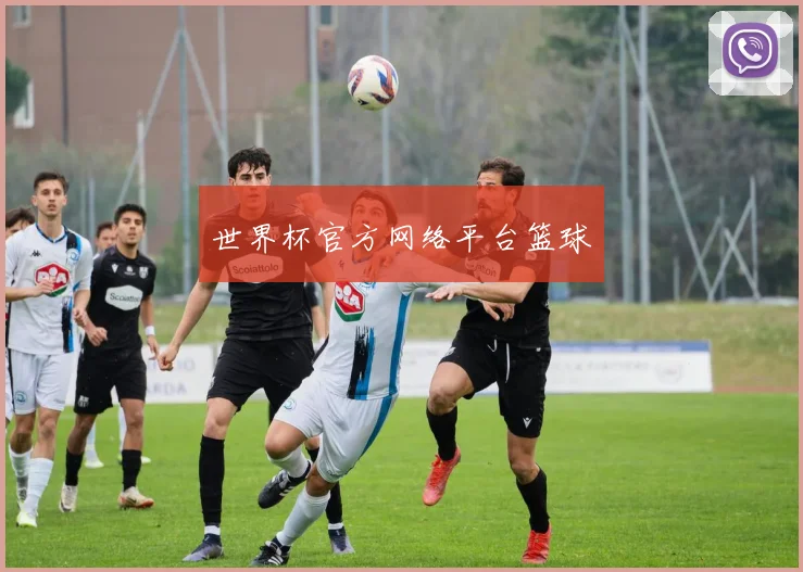 世界杯官方网络平台篮球