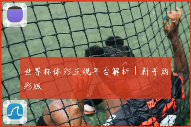 世界杯体彩正规平台解析|新手购彩版