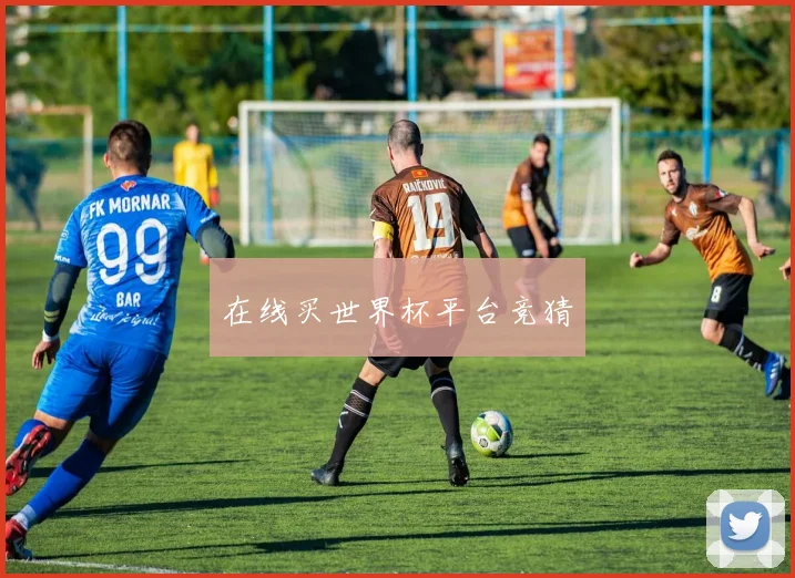 在线买世界杯平台竞猜