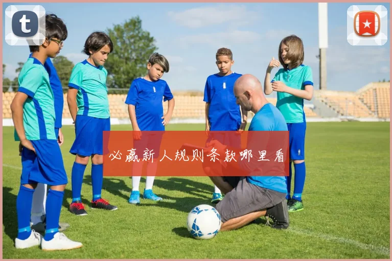 必赢新人规则条款哪里看