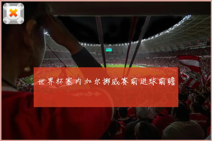世界杯塞内加尔挪威赛前进球前瞻