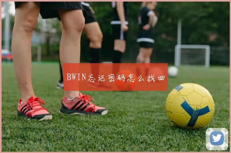 BWIN忘记密码怎么找回