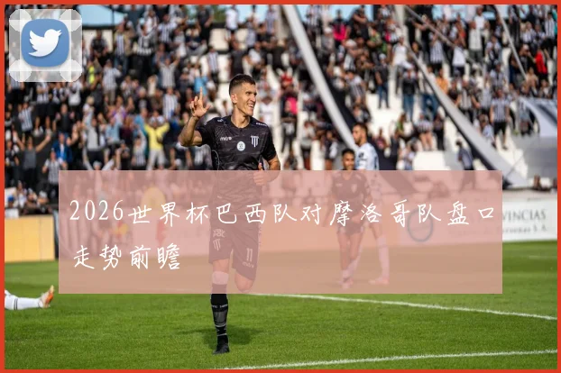2026世界杯巴西队对摩洛哥队盘口走势前瞻
