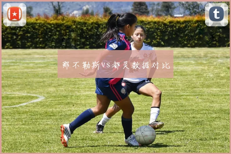 那不勒斯vs都灵数据对比