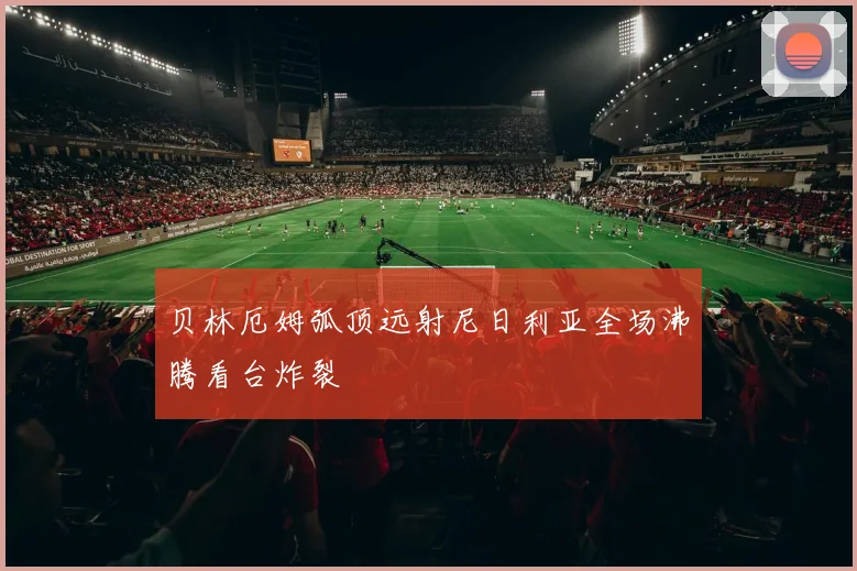 贝林厄姆弧顶远射尼日利亚全场沸腾看台炸裂