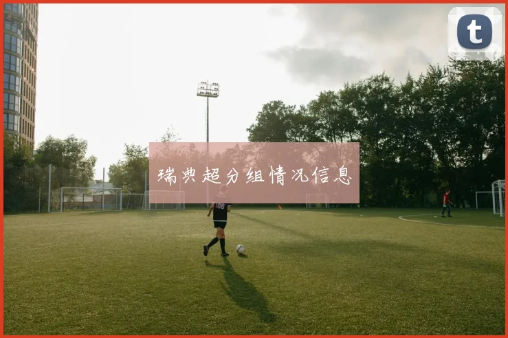 瑞典超分组情况信息