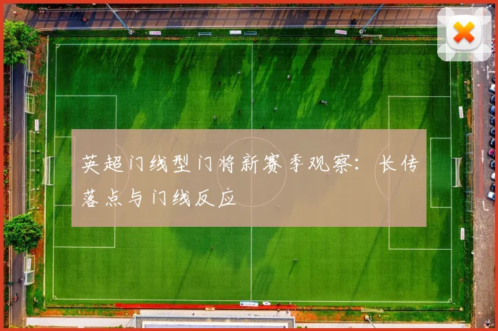 英超门线型门将新赛季观察:长传落点与门线反应